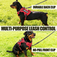 Dog Harness and Leash Set for Large Dogs - Red / S - image 2