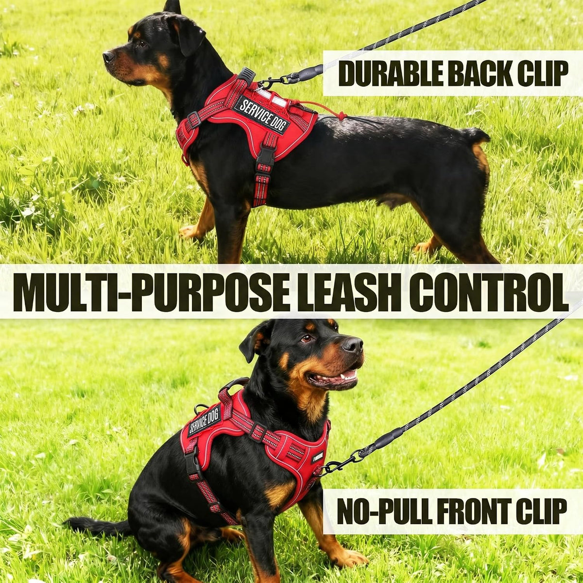 Dog Harness and Leash Set for Large Dogs - Red / S - image 2