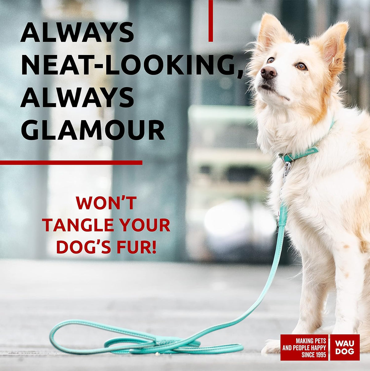 WAUDOG Rolled Leather Dog Leash 4Ft * 0.3 in for Small Medium - Mint / 4Ft * 0.4 in - image 2