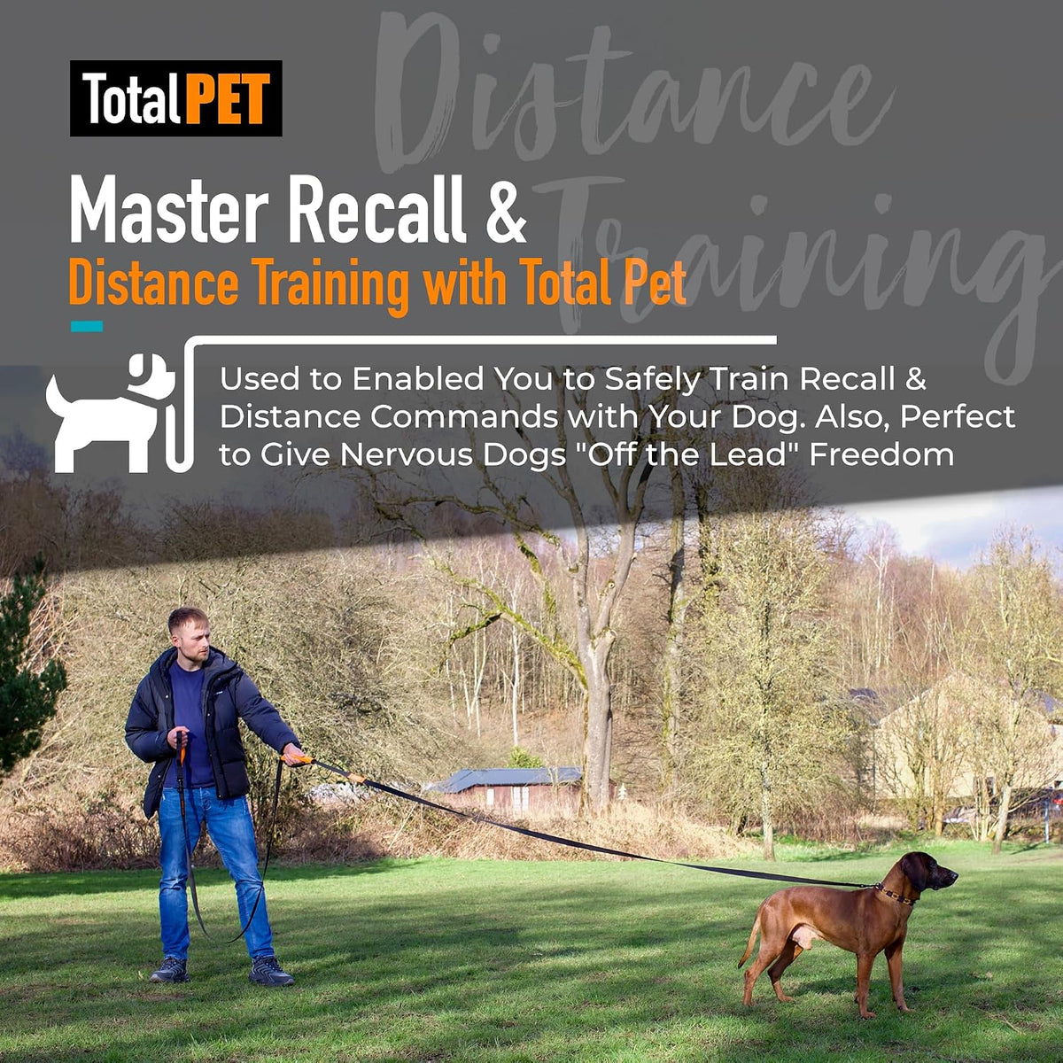 100ft Long Leash for Dogs - 100ft - image 2