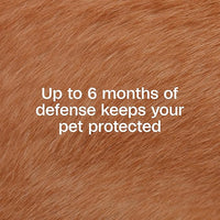 Adams Flea & Tick Collar Plus for Dogs & Puppies |2 Pack |12-Month Protection |One Size Fits All Dogs & Puppies 12 Weeks and Older |Kills Fleas and Ticks |Repels Mosquitoes (excluding California)