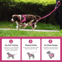 No Pull Dog Harness for Small Dogs, Soft Flannel Padded, XS - M:chest 21-27" / Hot Pink - image 4