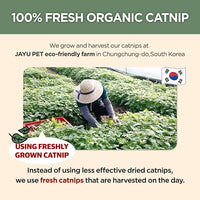 JAYU PET Active Catnip Spray - High Potency Transparent Liquid Spray made of Fresh Organic Catnip for Indoor Cats and Kittens, Relieves Stress, Calming, Revives Toys (1fl oz) (Catnip Spray, 1fl oz)