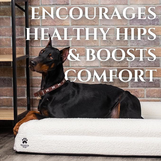 Luxury Boucle Fabric Orthopedic Dog Bed with Memory Foam | Breathable Comfort and Washable Dog Couch Bed with Waterproof Liner & Cover | Sofa Beds for Medium Dogs - Bone 37"x30"x7.7"