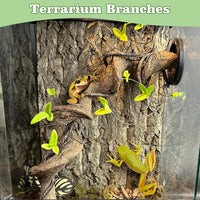 Reptile Climbing Decor 1.8-2.2" Thick Wood Branches Snake Habitat - 14-16 inches - image 3