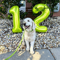 Number Balloons 1st Birthday Decorations - Light Green / Number 6 - image 2