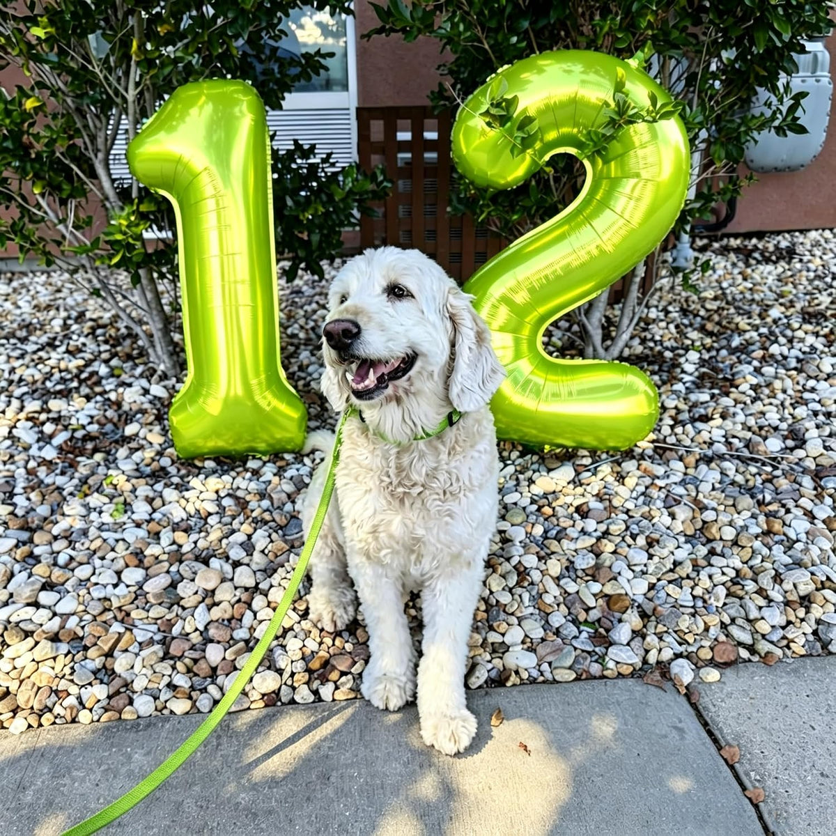 Number Balloons 1st Birthday Decorations - Light Green / Number 6 - image 2