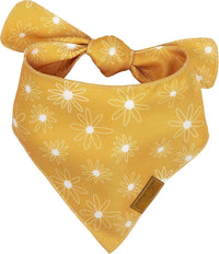 Remy+Roo Katherine Spring Dog Bandanas Large, Floral - Large - image 2