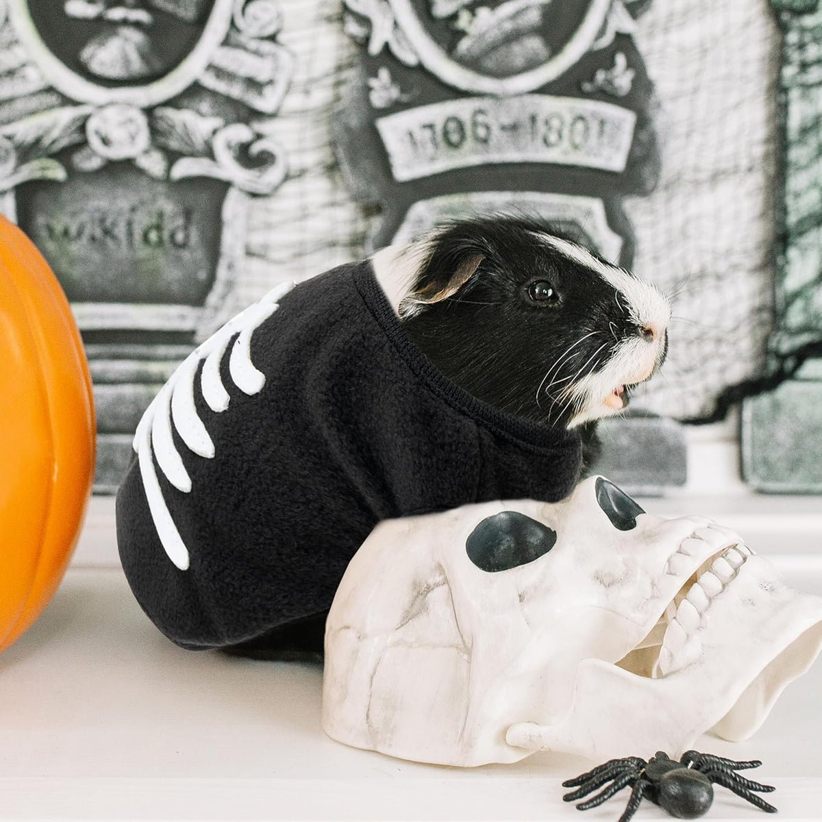Halloween Guinea Pig Clothes - Orange and Black / XXXS - image 4