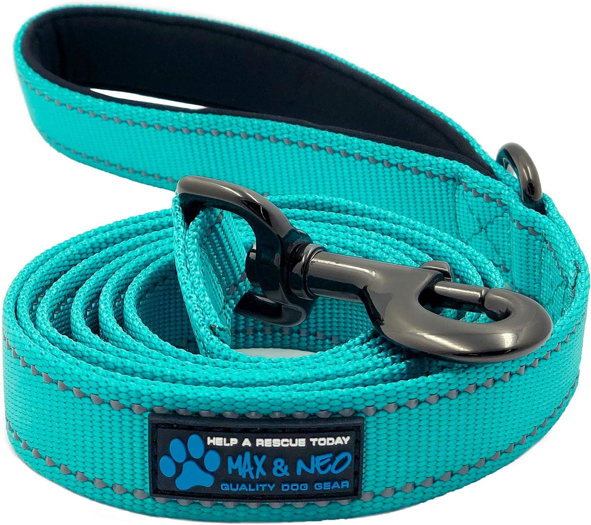 Max and Neo Reflective Nylon Dog Leash - 6 FT x 1" Wide / TEAL
