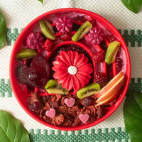 The Slowdown Bowl Silicone Slow Feeder for Dogs & Puppies, Slow Eating, Modern Lick Mat Design, Reduces Gulping, Fits 2 Cups 7.5” Across x 1.5” Tall, Mealtime Challenge, Medium-Cherry