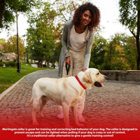 Martingale Dog Collar, Adjustable No Buckle Slip Collar, XS - Red / Medium(Length:15-21'', Width:1'') - image 2