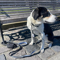 Dog Poop Bag Holder for Leashes - Dog Poop Bag Dispenser and Treat Holder with 2 Waterproof Pouches for Pet Waste Bags and Walking Accessories + 1 Free Roll (Purple)