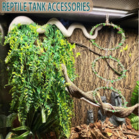 Snake Climbing Rings for Ball Python, Enclosure Accessories - image 3