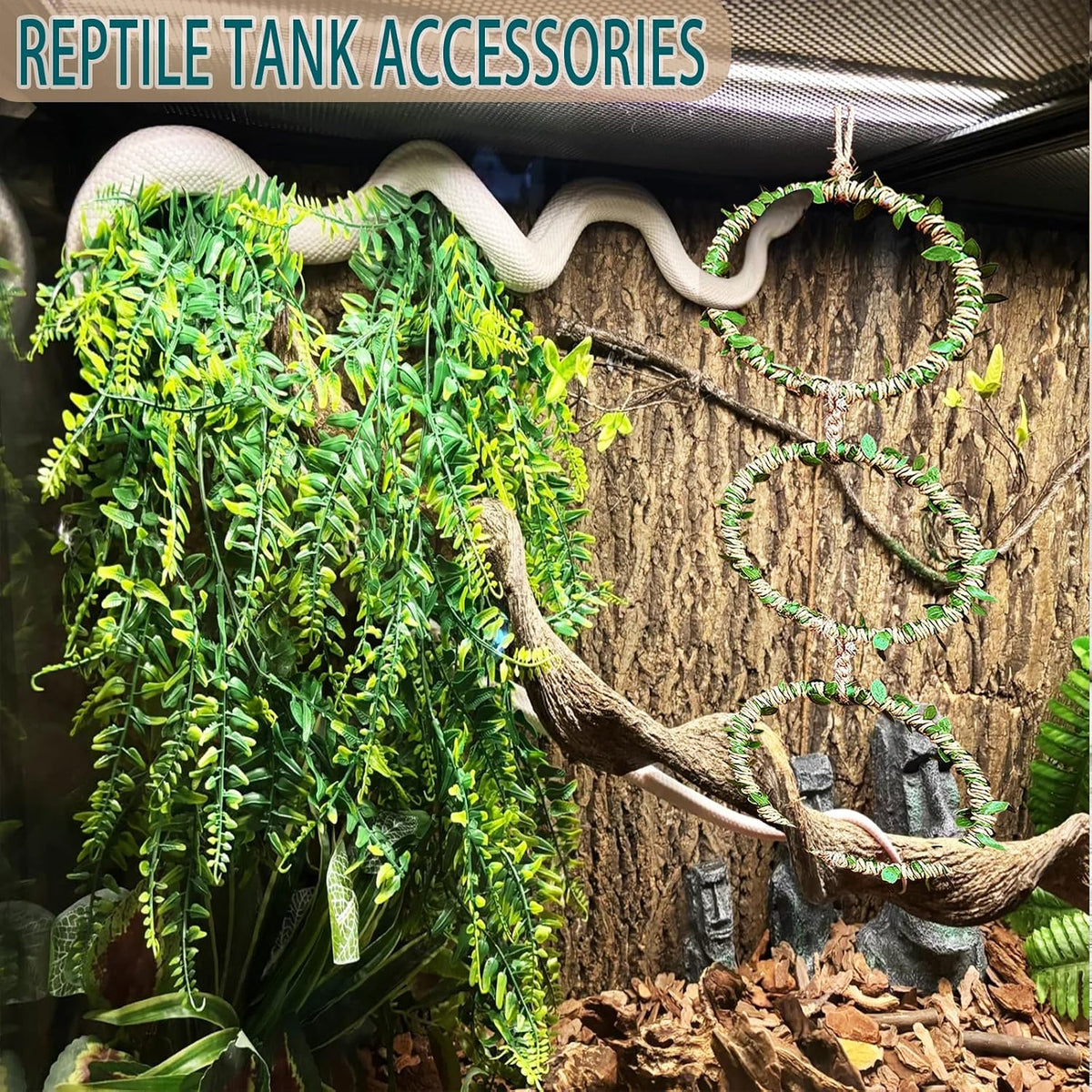 Snake Climbing Rings for Ball Python, Enclosure Accessories - image 3