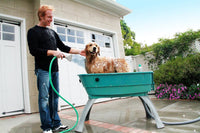 Elevated Pet Bathing, Teal, Large – Essentials for Dogs - Teal / Booster Bath - image 2