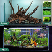 WDEFUN 3 PCS Natural Driftwood for Aquarium Decor Fish Tank - Mopani driftwood （5-8 inch pack of 5） - image 4