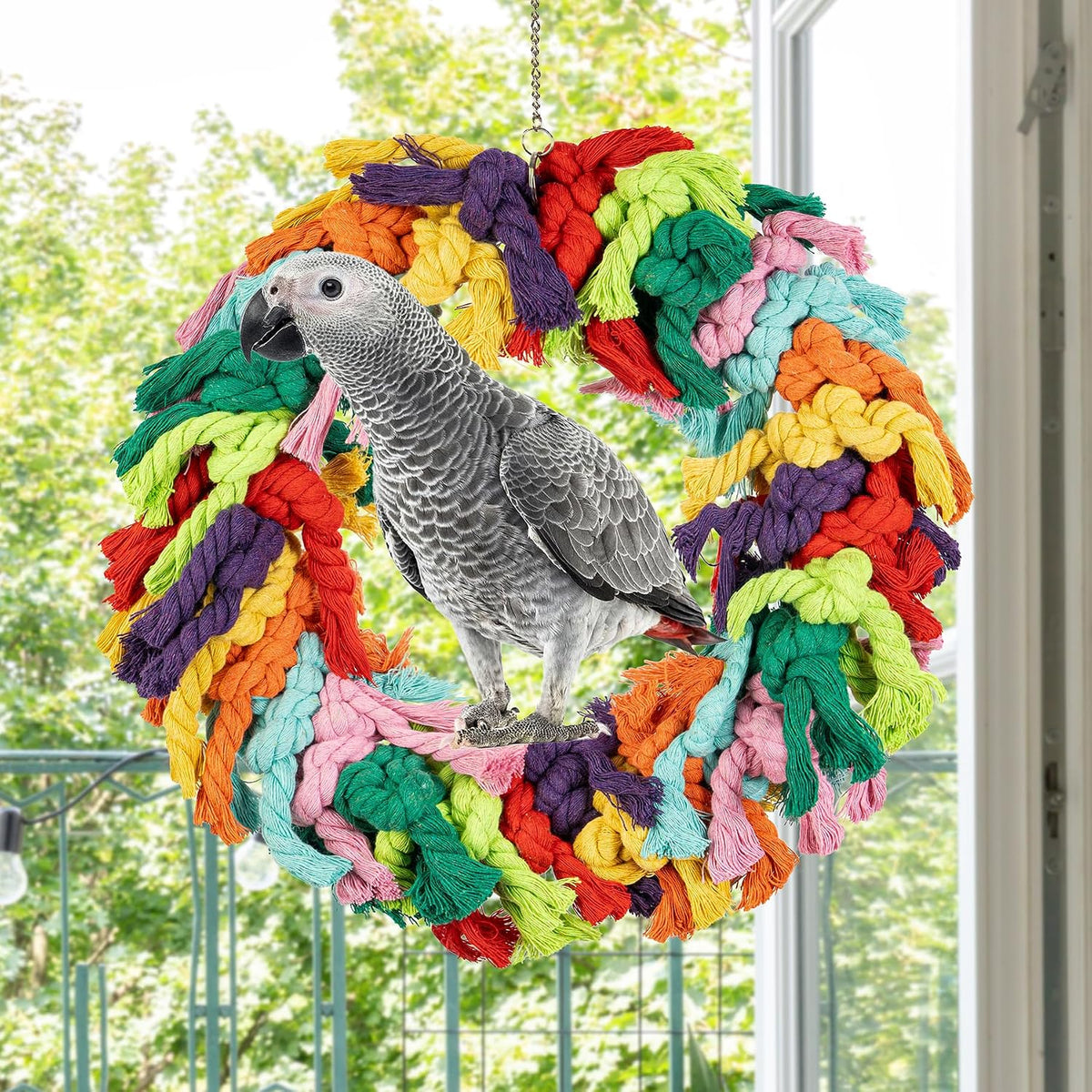 Parrot Swing for Large Birds – Essentials for Birds - Parrot Swing (Standard) - image 3