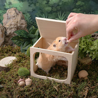 Wooden Hamster Hideout House, Small‑Pet Habitat Tunnel - Bedroom - image 4