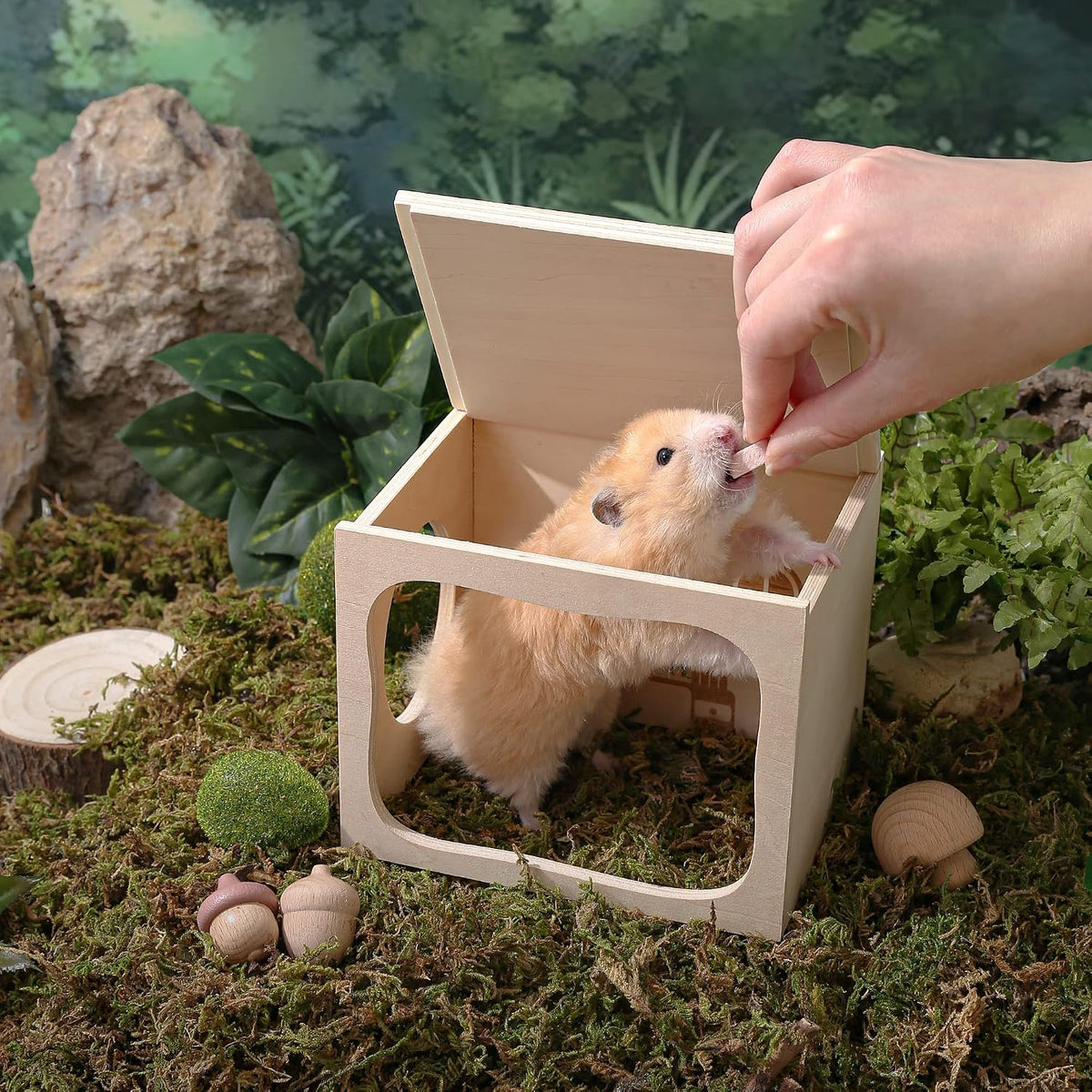 Wooden Hamster Hideout House, Small‑Pet Habitat Tunnel - Bedroom - image 4
