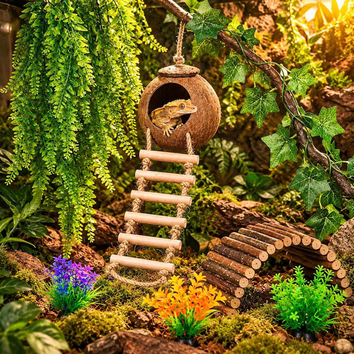HERCOCCI Crested Gecko Tank Accessories - image 4