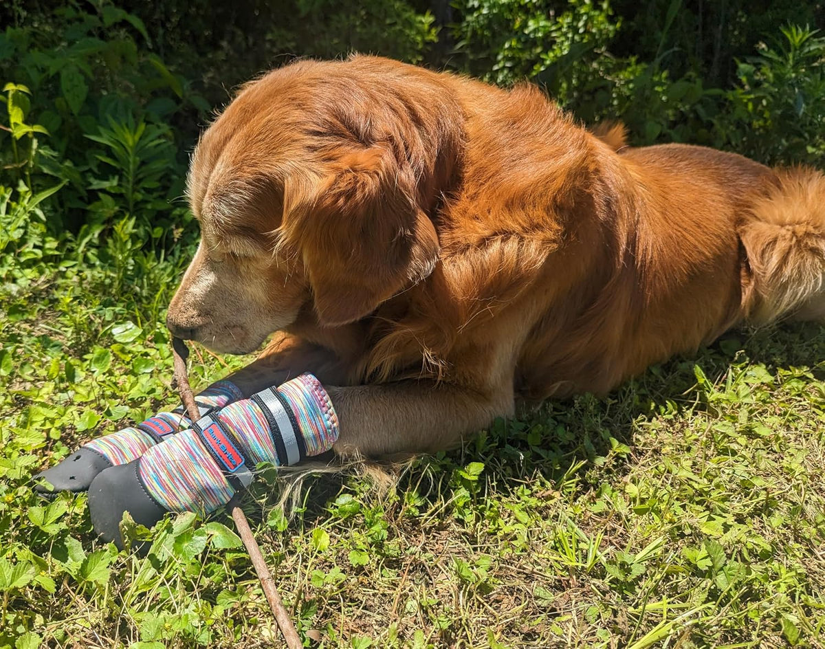 All Weather Neoprene Paw Protector Dog Boots with Reflective Straps - Multicolor / Large