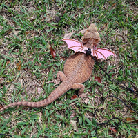 Pink Bearded Dragon Leash Harness, 3 Size Pack, Cool Bat Wing – Essentials for Small Pets - Pink - image 2