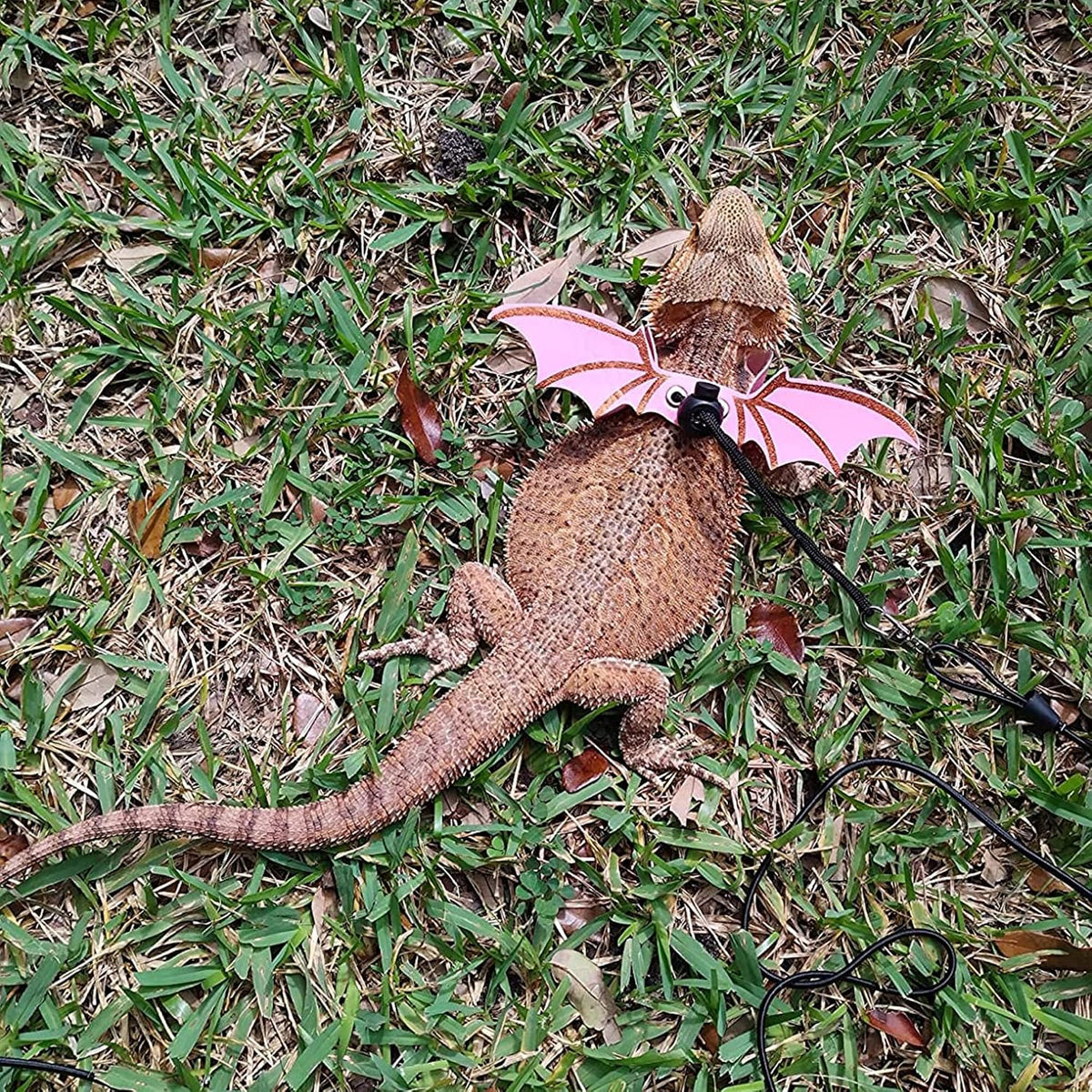 Pink Bearded Dragon Leash Harness, 3 Size Pack, Cool Bat Wing – Essentials for Small Pets - Pink - image 2
