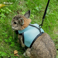 Niteangel Adjustable Soft Harness with Elastic Leash for Rabbits – Essentials for Small Pets - L / Black - image 3