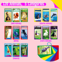 SpriteGru Spanish flashcards for toddlers with colorful cartoon images on rings - view 30