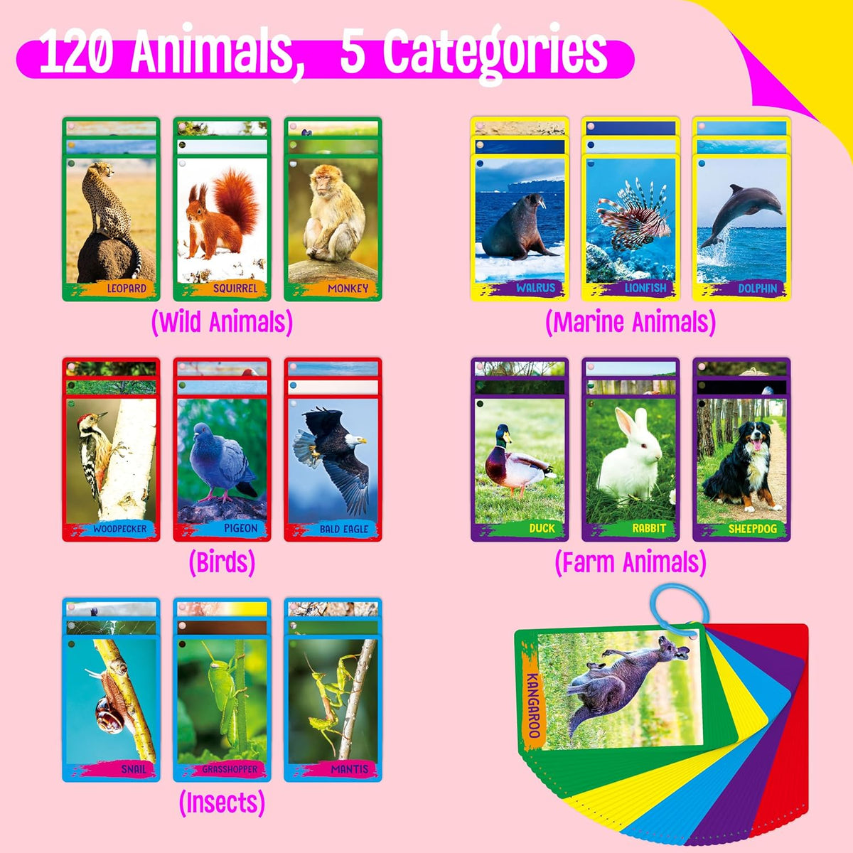 SpriteGru Spanish flashcards for toddlers with colorful cartoon images on rings - view 30