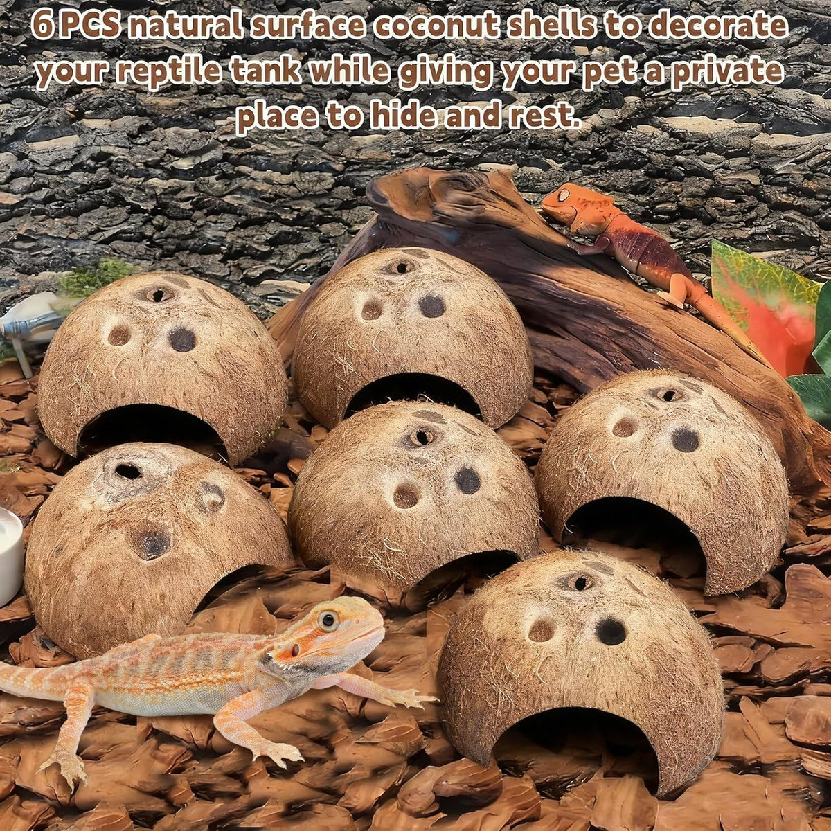 PINVNBY 2 PCS Natural Coconut Reptile Hideouts Lizard Coco Hut Hermit - Natural Surface / 6 PCS - image 3