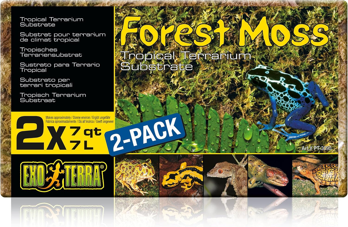 Exo Terra Forest Plume Moss, 7 Quarts