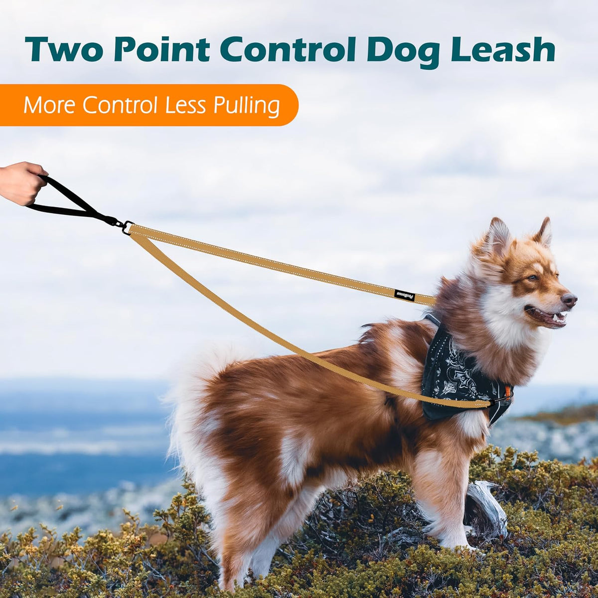 Two Point Control Dog Leash, No Tangle Training Walking Leashes – Essentials for Dogs - Khaki - image 2