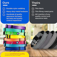 Blueberry Pet Essentials Medium Dog Collar in Emerald | Adjustable & Eco-Friendly Durable Nylon Strap | Classic Collar for Medium Dogs, Boy & Girl Pets