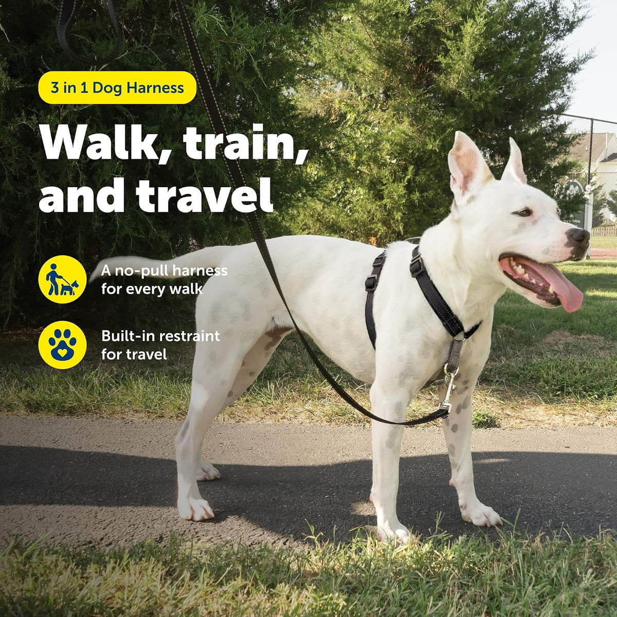 PetSafe 3 in 1 No-Pull Dog Harness, Walk, Train or Travel - Black / Medium (Pack of 1) - image 2