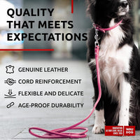 WAUDOG Rolled Leather Dog Leash 4Ft * 0.3 in for Small Medium - Pink / 4Ft * 0.4 in - image 3