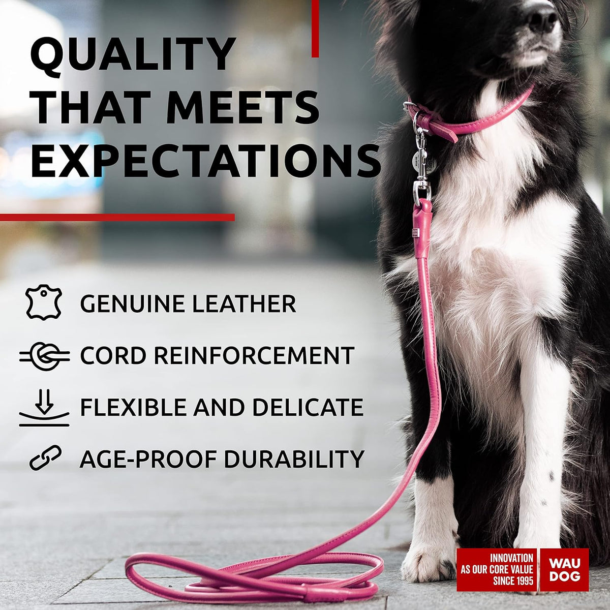 WAUDOG Rolled Leather Dog Leash 4Ft * 0.3 in for Small Medium - Pink / 4Ft * 0.4 in - image 3