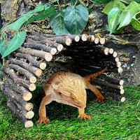 Extra Large Tortoise Hide Reptile Hideout Wood Turtle Tunnel – Essentials for Reptiles And Amphibians - L-15.8 x 7.9-2 PACK - image 3