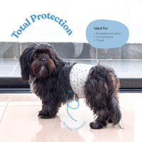 Comfortable Male Dog Diapers, FlashDry Gel Technology - 50 Pack / Small - image 2