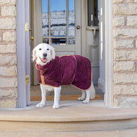 Lucky Pooch Dog Robe, Luxurious Dog Bathrobe - XL / Plum - image 3