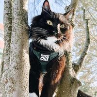 Travel Cat Harness and Leash Set - Medium / Emerald - image 2
