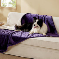 Bedsure Waterproof Dog Blankets for Small Dogs Soft Cat Blanket Warm - XL(50x60") / Eggplant