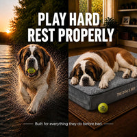 The Dog’s Bed Orthopedic Memory Foam Dog Bed - Grey Plush / XXXL Beds (6" deep) - image 2