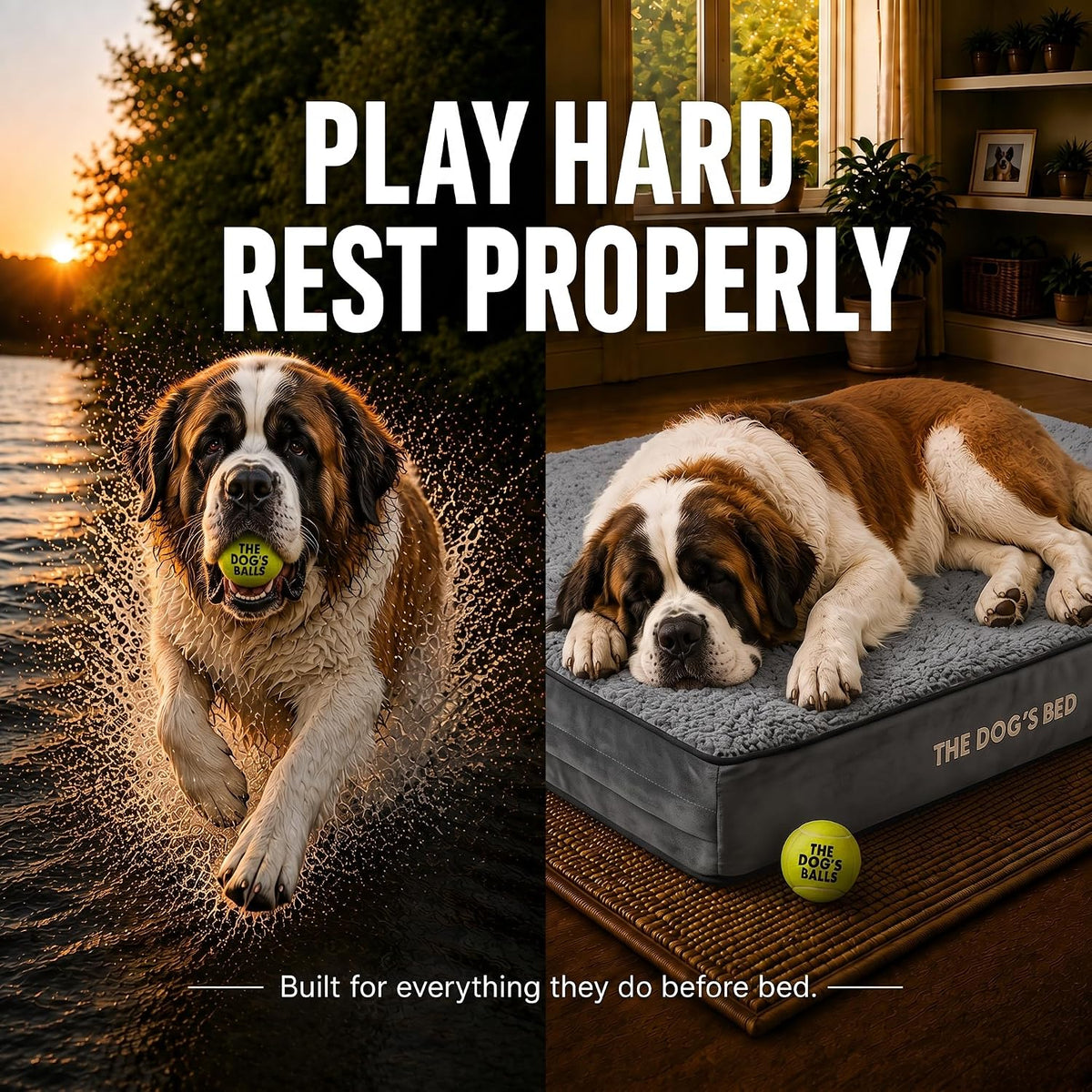 The Dog’s Bed Orthopedic Memory Foam Dog Bed - Grey Plush / XXXL Beds (6" deep) - image 2