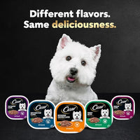 Cesar Filets in Gravy Adult Wet Dog Food, Poultry Lovers Multipack, 3.5 oz. (12 Count, Pack of 2)