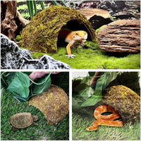 PINVNBY 2 PCS Natural Coconut Reptile Hideouts Lizard Coco Hut Hermit - Moss Surface / 2 PCS - image 4