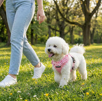 SuperBuddy Upgraded Soft Mesh Dog Harness - S (Neck Girth 11"; Chest Girth: 12"-16") / Adorable Pink - image 2