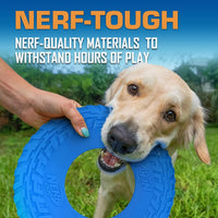 Nerf Dog Tire Flyer Dog Toy Gift Set - Blue / 10 Inch - image 4