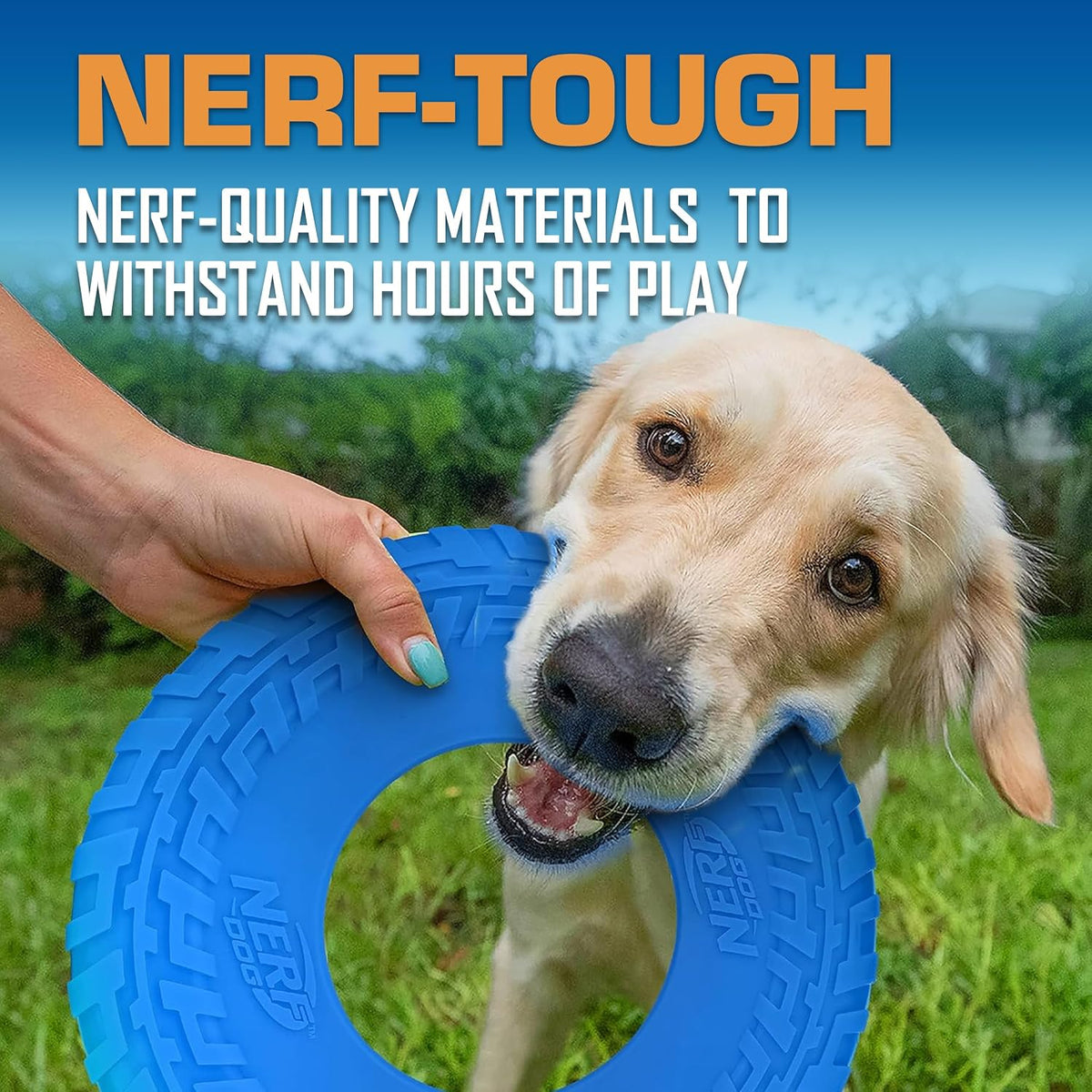 Nerf Dog Tire Flyer Dog Toy Gift Set - Blue / 10 Inch - image 4